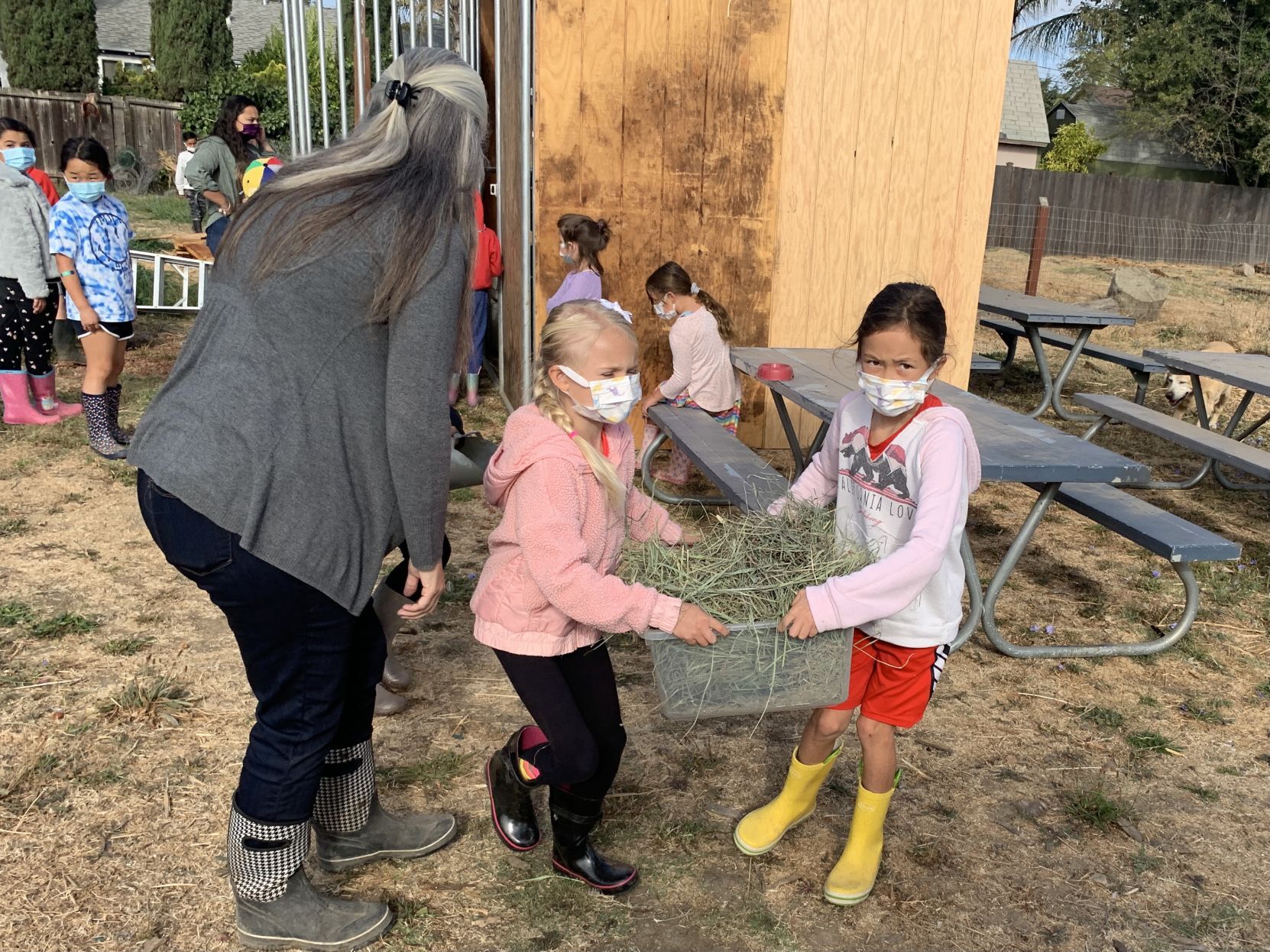 Napa Christian school farm